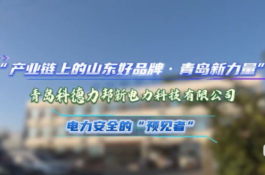 A Leading Green Brand in Shandong's Industrial Chain · A Pearl in Electric Industry in Qingdao City